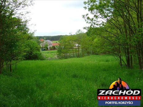 Działka budowlana na sprzedaż Przytok 22 600m2 Foto 4