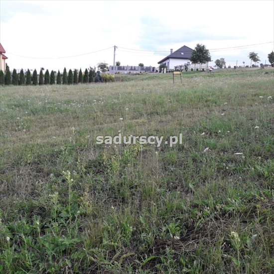 Działka budowlana na sprzedaż Sławkowice 3 547m2 Foto 3