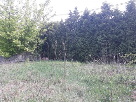 Działka budowlana na sprzedaż Warszawa, Wawer, Mrówcza 39f 1 260m2 Foto 2