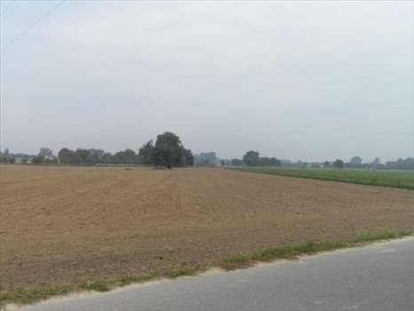 Działka rolna na sprzedaż Konstancin-Jeziorna, Jeziorna Oborska, Wiechy 3 111m2 Foto 2