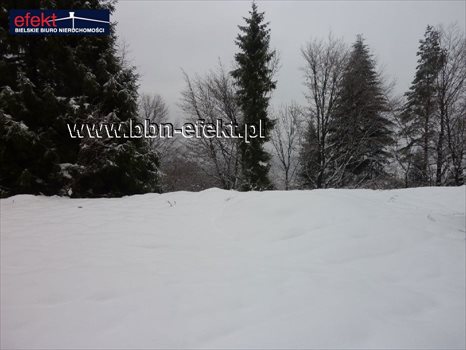 Działka rekreacyjna na sprzedaż Międzybrodzie Żywieckie 3 600m2 Foto 3