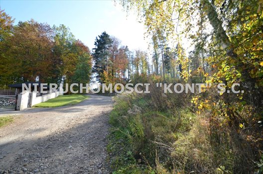 Działka budowlana na sprzedaż Krzywaczka 2 300m2 Foto 7