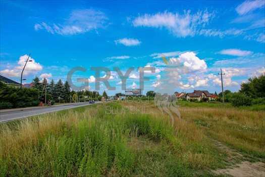 Działka inna na sprzedaż Kobylnica 1 000m2 Foto 2