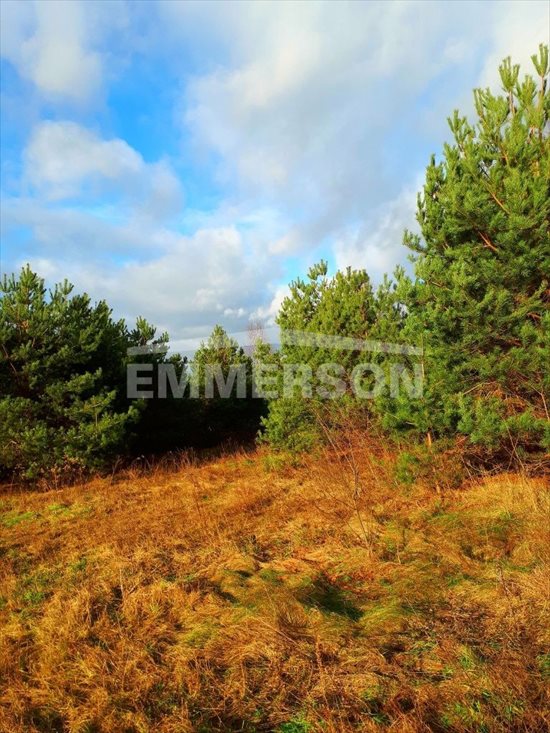 Działka budowlana na sprzedaż Prażmów, Łoś 1 000m2 Foto 3