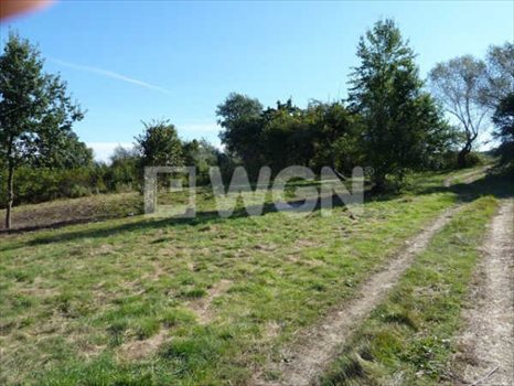 Działka budowlana na sprzedaż Księginice Małe, Jagodowa 5 000m2 Foto 5
