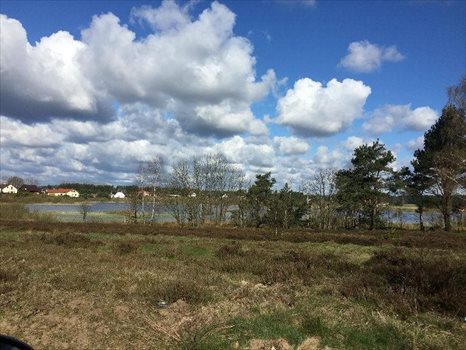 Działka budowlana na sprzedaż Bojano, Bojana 1 300m2 Foto 8