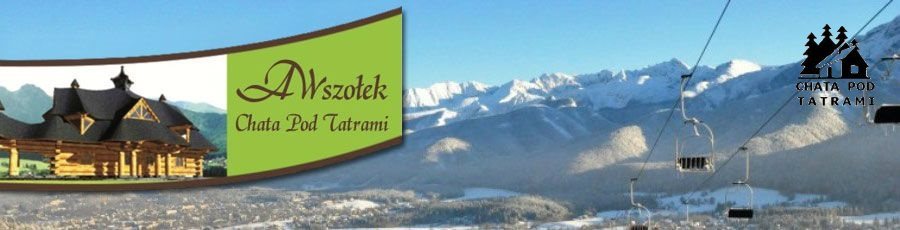 Dom na sprzedaż Zakopane 400m2 Foto 6