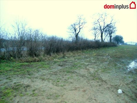 Działka inna na sprzedaż Kończewice 3 000m2 Foto 3