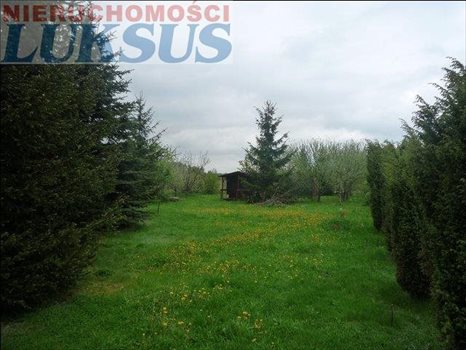 Działka budowlana na sprzedaż Łoś, Łoś 1 200m2 Foto 2