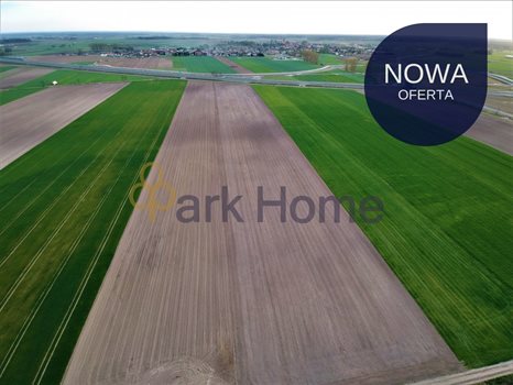 Działka inwestycyjna na sprzedaż Leszno 3 000m2 Foto 1