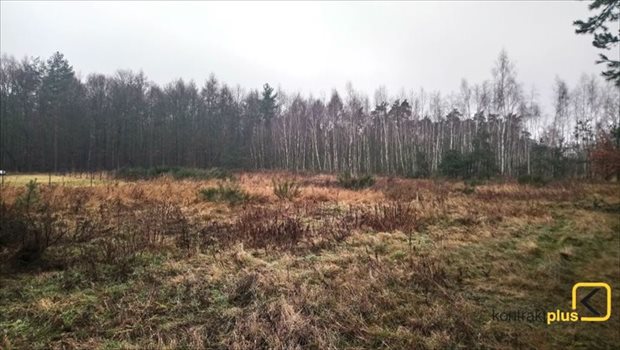 Działka budowlana na sprzedaż Orzesze, Woszczyce, Palowicka 900m2 Foto 7