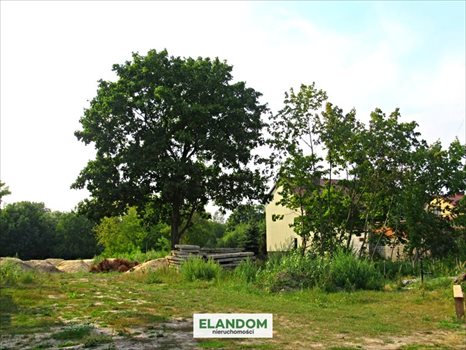 Działka budowlana pod dzierżawę Otwock 1 854m2 Foto 3