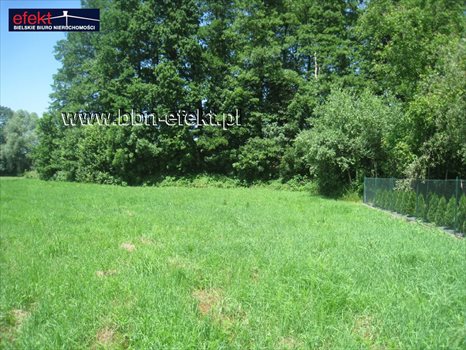 Działka budowlana na sprzedaż Mazańcowice 1 618m2 Foto 5