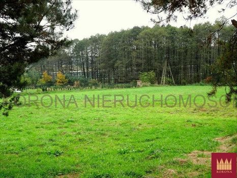 Działka budowlana na sprzedaż Rybnik 3 990m2 Foto 6