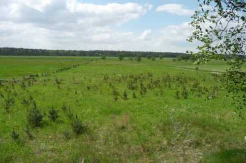 Działka rolna na sprzedaż Toporów 14 300m2 Foto 2