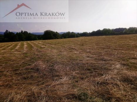 Działka budowlana na sprzedaż Borzęta 16 000m2 Foto 3