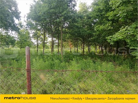 Działka inna na sprzedaż Dąbrówka Wielka, Zgierz 2 669m2 Foto 5