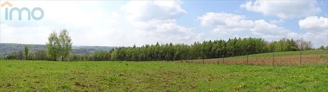 Działka budowlana na sprzedaż Kielnarowa 1 450m2 Foto 11