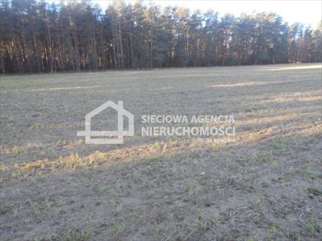 Działka budowlana na sprzedaż Rokity 1 246m2 Foto 5