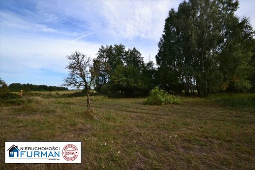 Działka siedliskowa na sprzedaż Biała 28 600m2 Foto 8