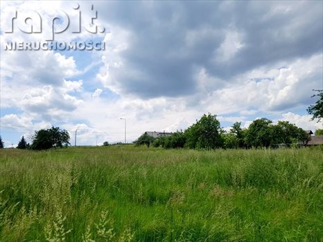 Działka budowlana na sprzedaż Borzęta 2 700m2 Foto 2