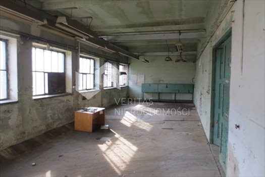 Lokal użytkowy na sprzedaż Gliwice 1 460m2 Foto 6