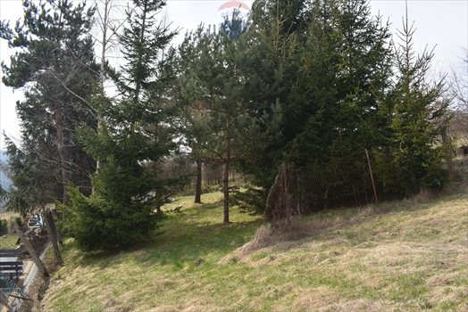 Działka budowlana na sprzedaż Mutne 1 066m2 Foto 8