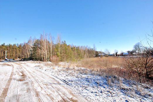 Działka inwestycyjna na sprzedaż Żabiczyn 16 027m2 Foto 2
