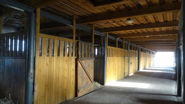 Działka rolna na sprzedaż Jaźwiny 521 469m2 Foto 6