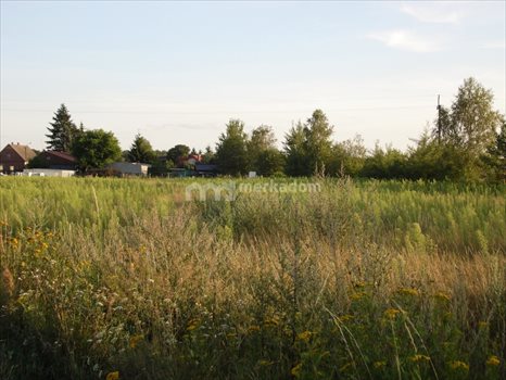 Działka inna na sprzedaż Dąbrówka Leśna 6 899m2 Foto 4