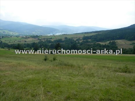 Działka budowlana na sprzedaż Dobra 1 700m2 Foto 3