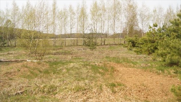 Dom na sprzedaż Tabory-Rzym 60m2 Foto 5