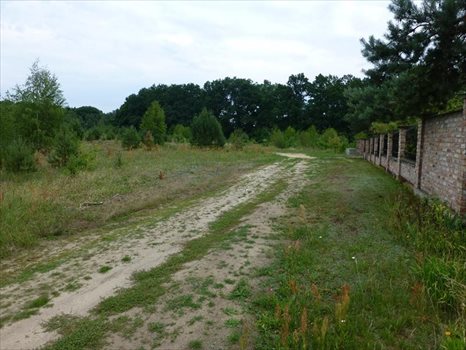 Działka inna na sprzedaż Kwakowo, Krótka 1 366m2 Foto 6