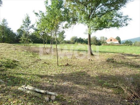 Działka budowlana na sprzedaż Księginice Małe, Jagodowa 5 000m2 Foto 8