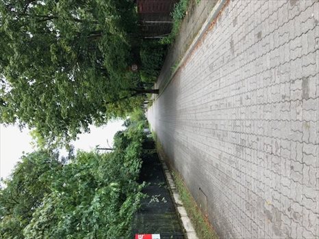 Działka budowlana na sprzedaż Warszawa, Wawer, Wisełki 27 1 717m2 Foto 5
