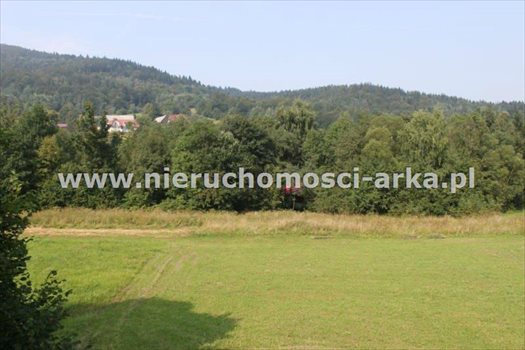 Działka budowlana na sprzedaż Gruszowiec 3 400m2 Foto 5