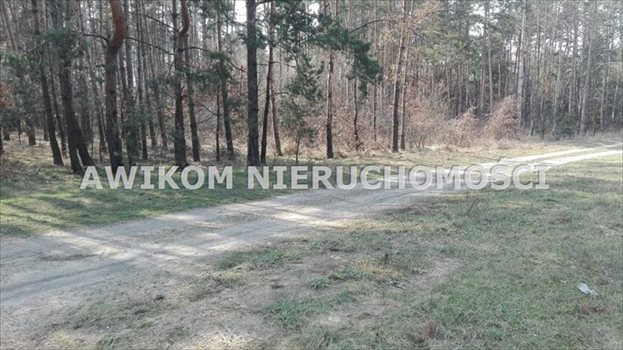Działka leśna na sprzedaż Skierniewice 8 837m2 Foto 1