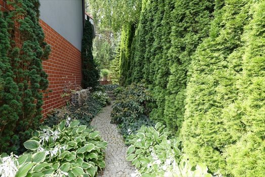 Dom na sprzedaż Poznań, Grunwald, Lasek Marceliński 354m2 Foto 3