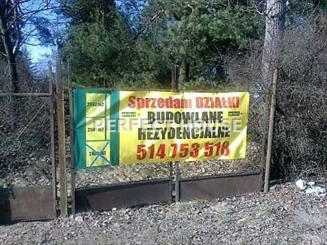 Działka budowlana na sprzedaż Poznań, Grunwald 2 447m2 Foto 4