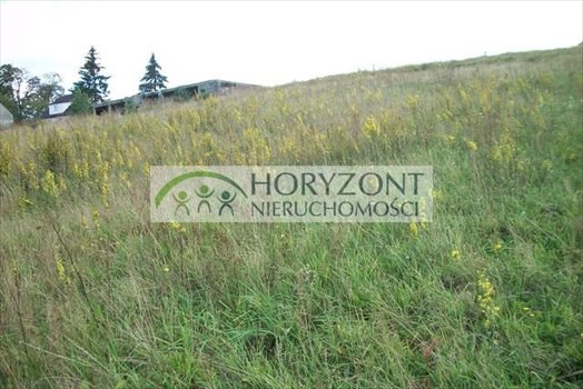 Działka budowlana na sprzedaż Łapalice 1 500m2 Foto 3