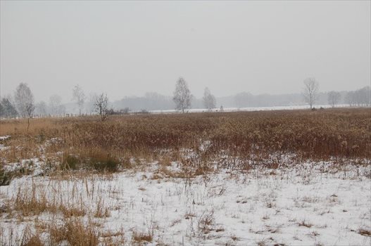 Działka rolna na sprzedaż Hetmanów 198 400m2 Foto 2