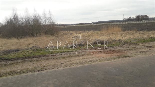 Działka budowlana na sprzedaż Konstantynów Łódzki, Niesięcin 5 388m2 Foto 4