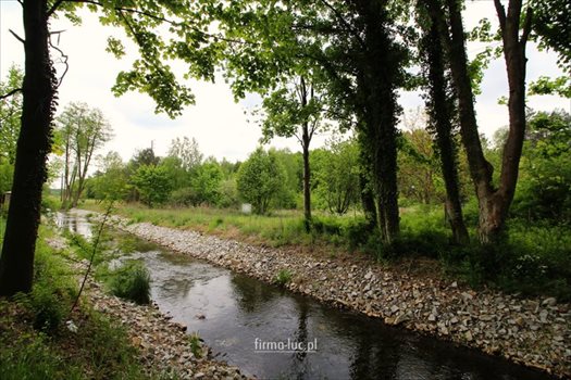 Działka budowlana na sprzedaż Santoczno 5 400m2 Foto 2