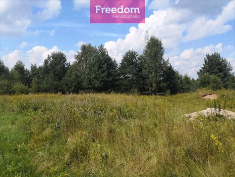 Działka budowlana na sprzedaż Orzechowo 25 000m2 Foto 2