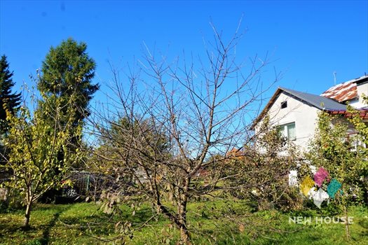 Dom na sprzedaż Lutek 126m2 Foto 3