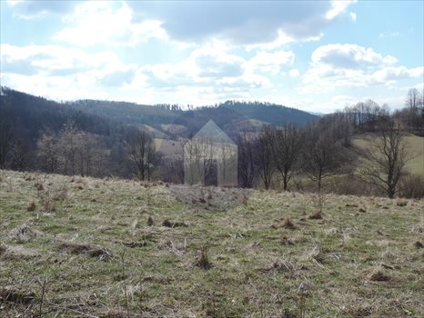 Dom na sprzedaż Jaszkowa Górna 200m2 Foto 4