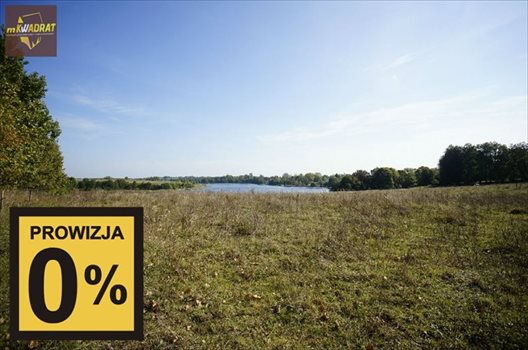 Działka inna na sprzedaż Guzki 11 910m2 Foto 4