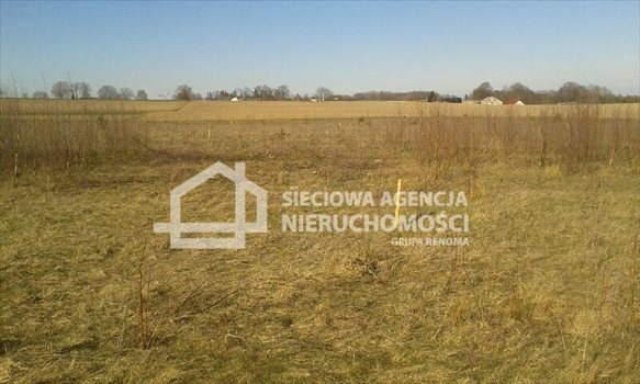 Działka budowlana na sprzedaż Tokary 1 052m2 Foto 10
