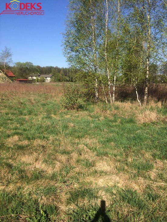 Działka budowlana na sprzedaż Józefów 1 153m2 Foto 2