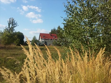 Dom na sprzedaż Drzewce-Kolonia 92m2 Foto 1